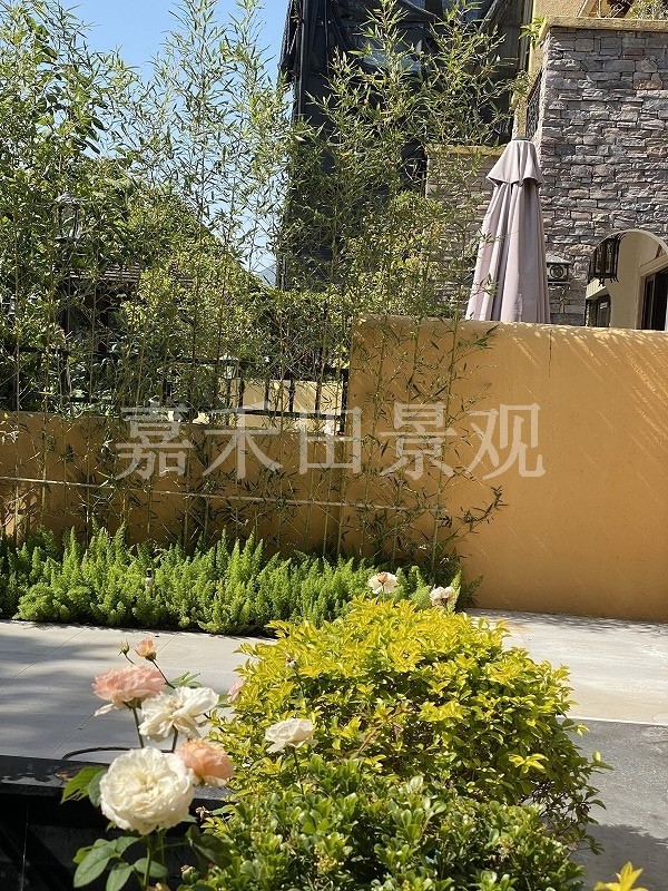 別墅花園的養(yǎng)護技巧包括哪些方面？